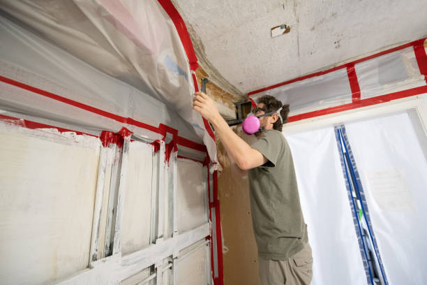 Mold Remediation for Vacation Homes in Green Tree, PA